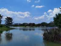 水上槳板飄