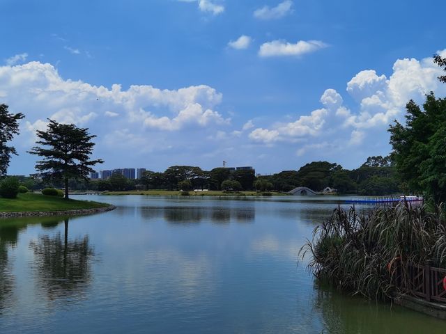水上槳板飄