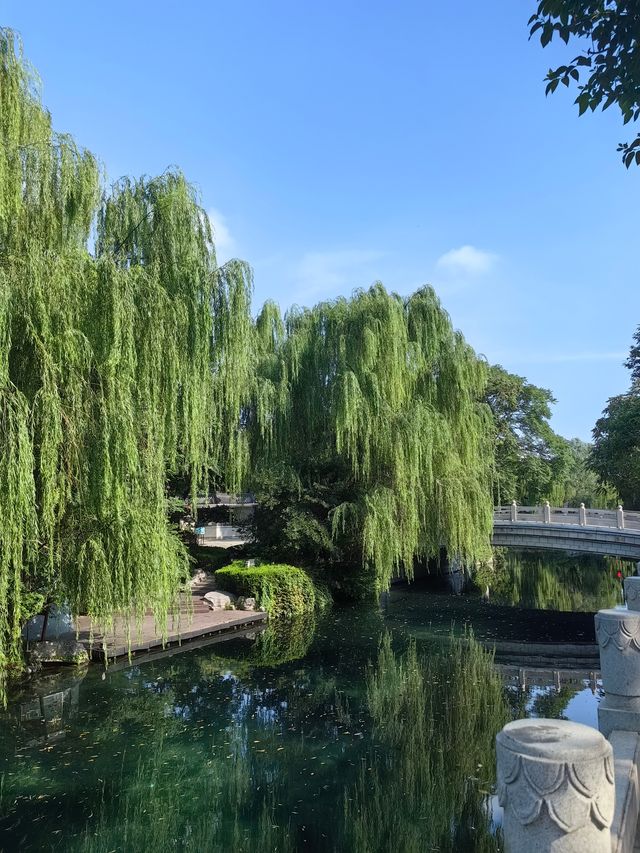 趵突泉旁還有一個五龍潭公園