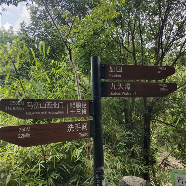 老家來人了玩轉深圳之馬巒山公園
