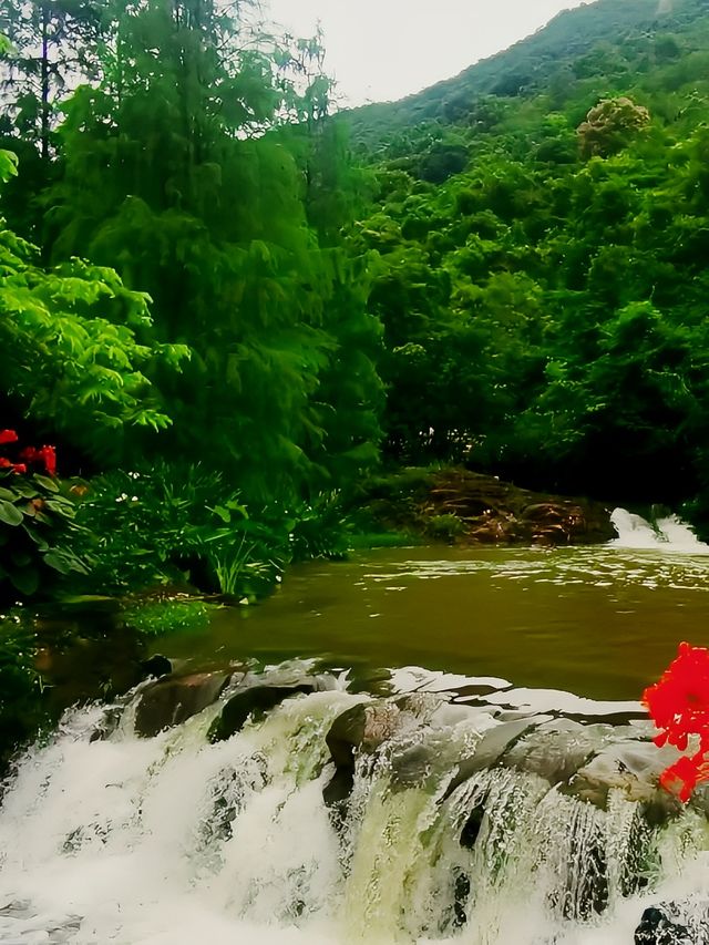 老家來人了玩轉深圳之馬巒山公園