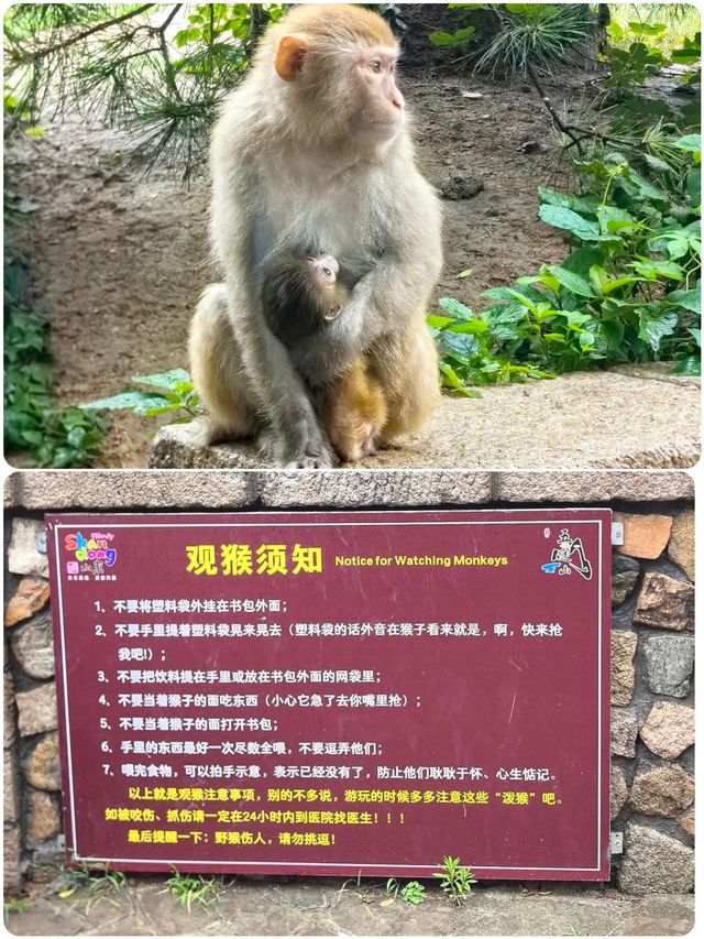 日照旅遊九仙山風景區