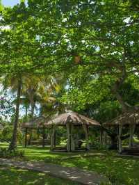 🌴🛏️ Saint Lucia's Serene Stays: Sandals Halcyon Beach 🌊✨