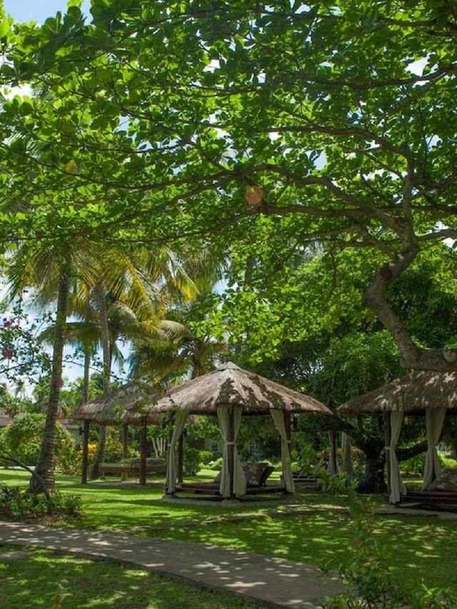 🌴🛏️ Saint Lucia's Serene Stays: Sandals Halcyon Beach 🌊✨