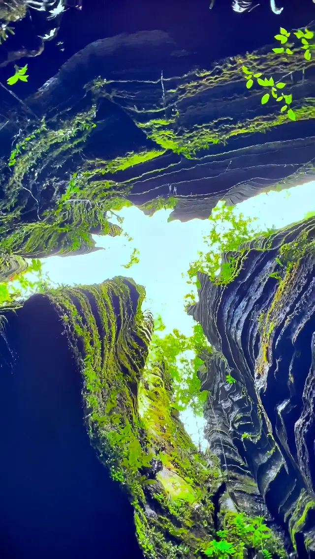 Suobuya Stone Forest: A Fantastical Karst, A New Picture of a Secret Realm