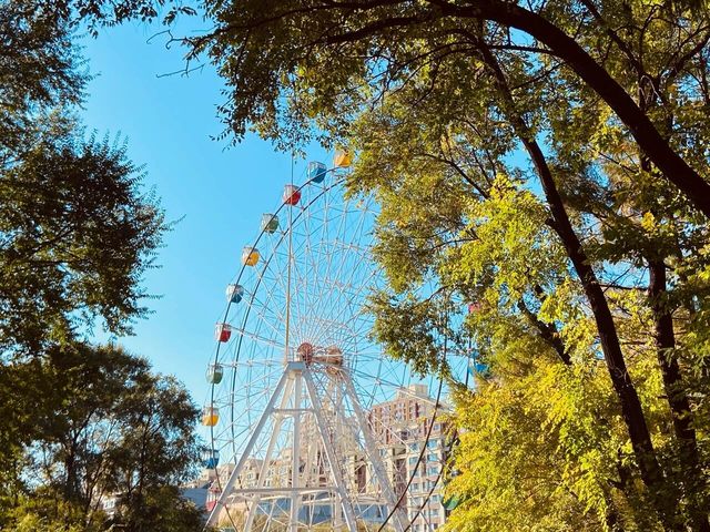 佳木斯水源山公園｜一起來邂逅靈動的自然妙趣吧！