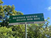皁幕山徒步，山水相伴，風光無限