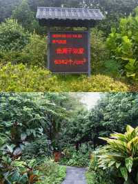 廣州周邊浸溫泉酒店推薦。
