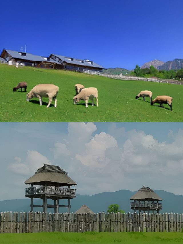 佐賀親子遊好去處，個個都絕美。