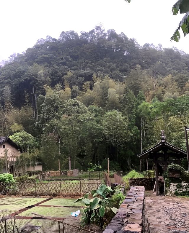 蒼南徐岙底古村落 | 避世桃源，人間值得。