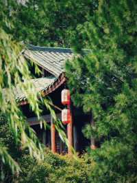 花築奢·荊門｜深藏不露，不可錯過小眾景點。