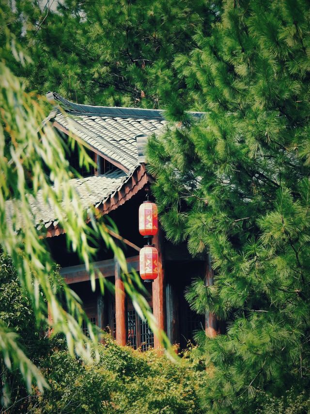 花築奢·荊門｜深藏不露，不可錯過小眾景點。