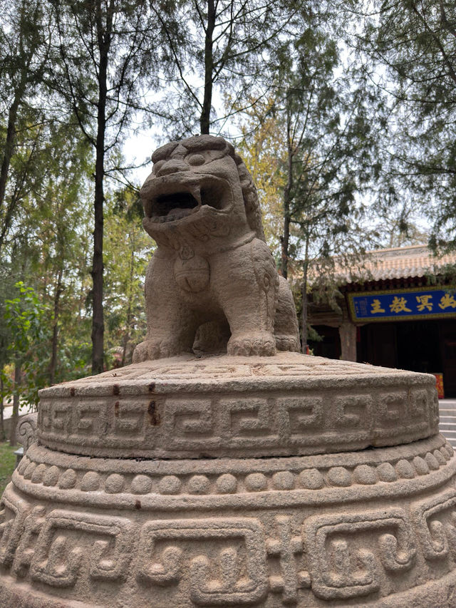 甘肅武威海藏寺——寶藏小眾國保寺院。