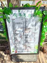 秋日逛公園之西青郊野公園。