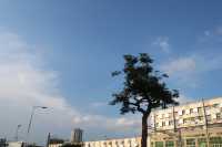 穿越回民國|深圳一日遊之清水河鐵路公園。
