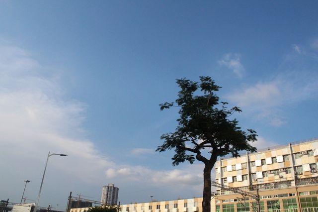 穿越回民國|深圳一日遊之清水河鐵路公園。
