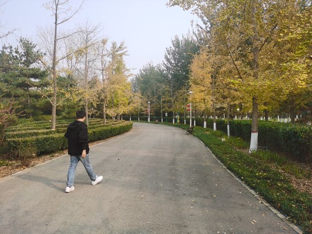 廊坊｜燕郊植物園。