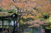 名古屋周邊｜上高地封山也能進噢。