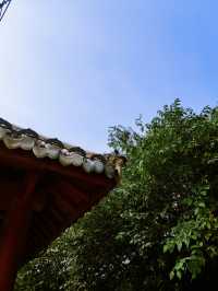 東平白佛山|進山吸氧。