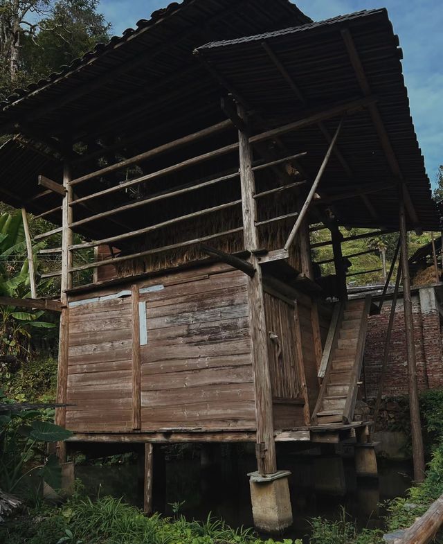 旅行|黃岡侗寨。