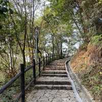 🌳 Longcheng Park 🌳