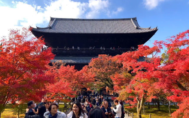 京都|避開人潮的小眾玩法~。
