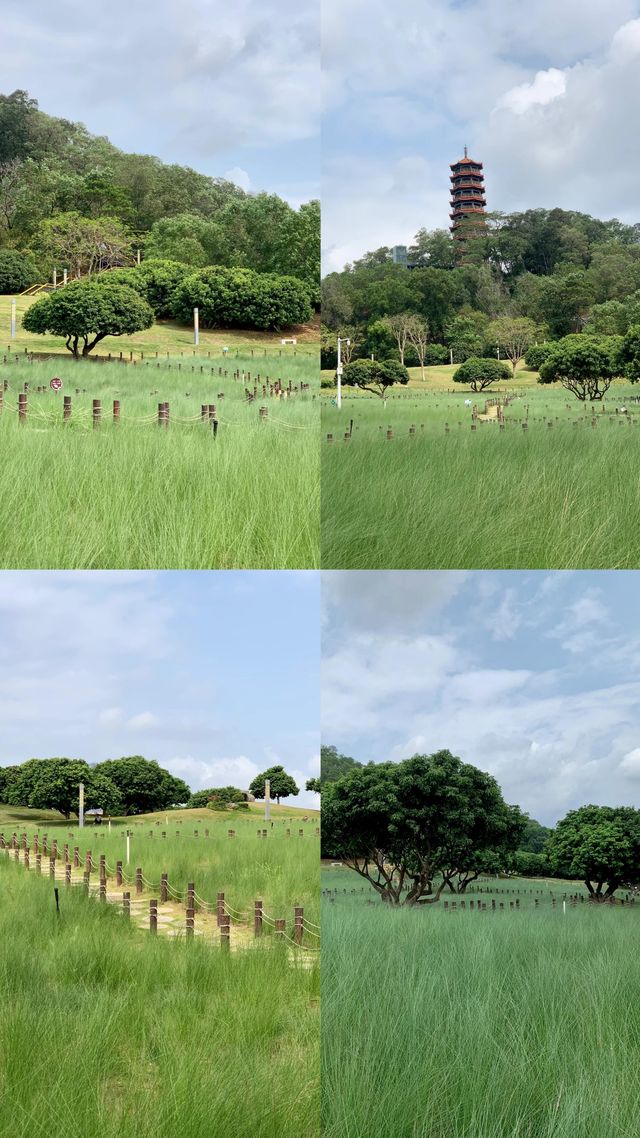 天呀｜深圳已經 next level 宮崎駿夏日來了