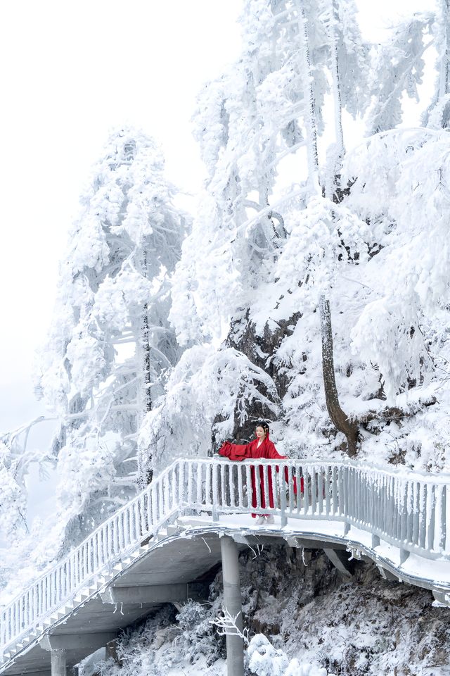 在光霧山拍攝的紅色戰國袍與雪景簡直絕配！