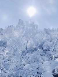 龍蒼溝雪景
