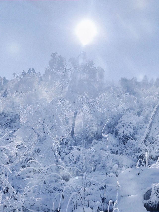 龍蒼溝雪景