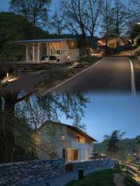 到隨州，探索銀杏秘境！