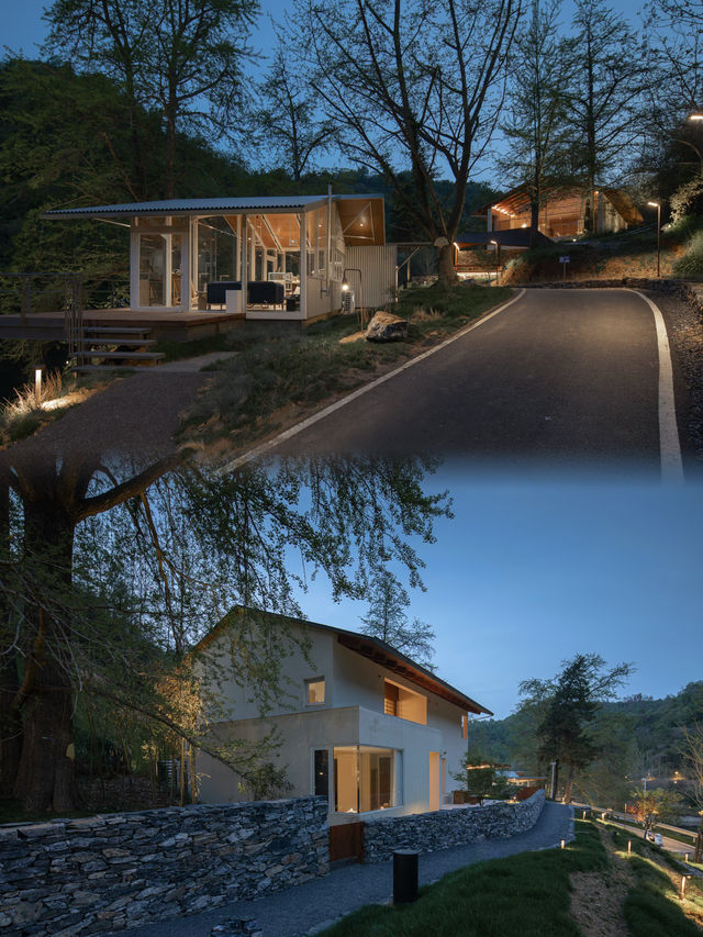 到隨州，探索銀杏秘境！