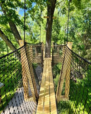 London, Canada: A Tranquil Experience of Canopy Walks in the Little Forest City