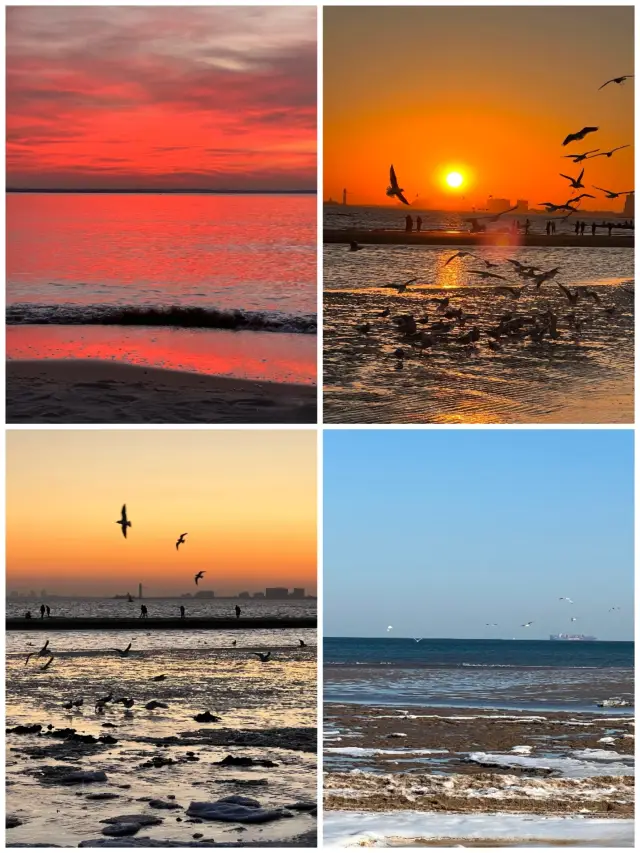 Seaside Diary | Jinmeng Bay Sunrise