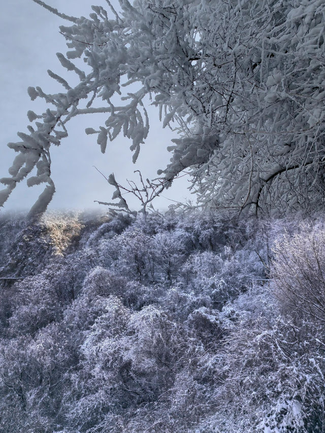 雪後的少華山雪景美爆了