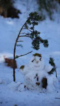 瓦屋山雪景：冬日仙境嘅正確打開方式