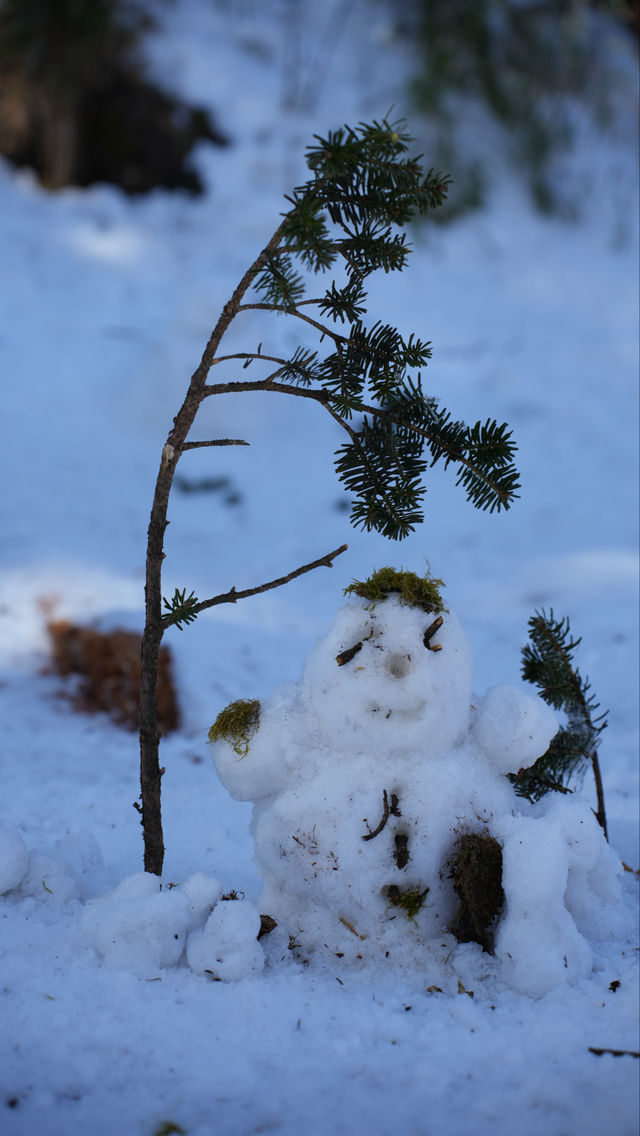 瓦屋山雪景：冬日仙境嘅正確打開方式