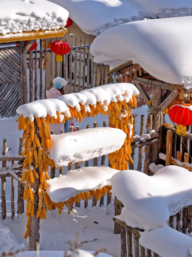 설향에 가기 전 아무도 말해주지 않았어요. 이곳의 "함정"이 눈보다 더 깊다는 것을