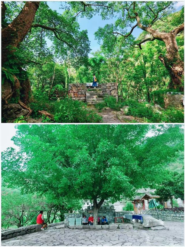 隱匿600年的布依族古村落｜石頭古寨雨補魯村