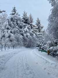 7元的小火車！駛入浪漫的雪國