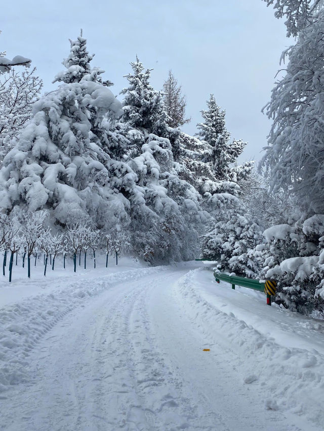 7元的小火車！駛入浪漫的雪國