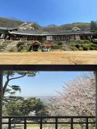 韓國瑞山的旅遊攻略