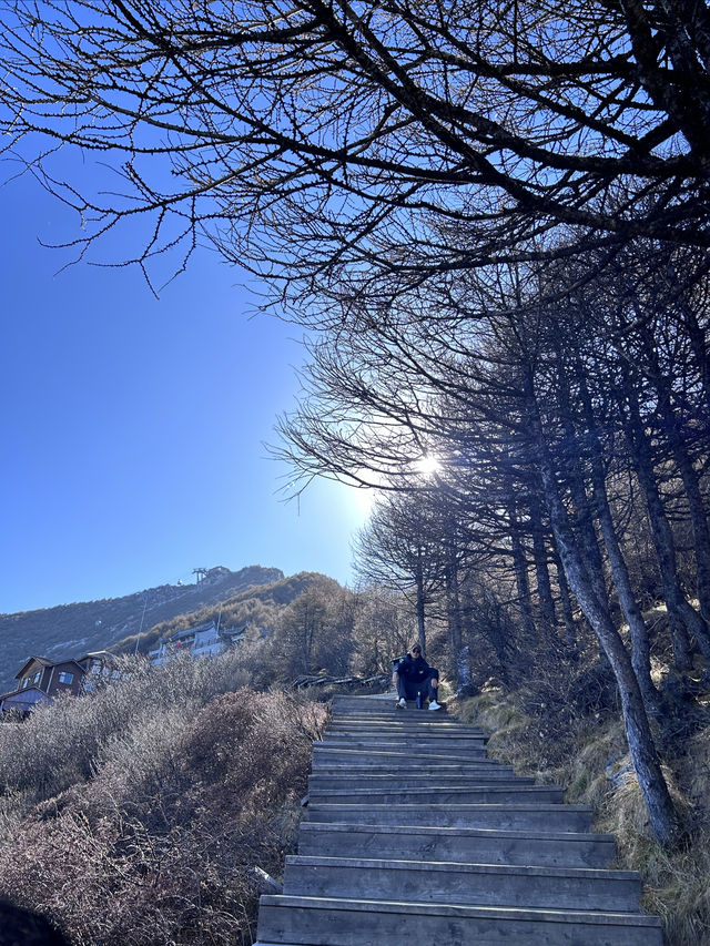 太白山國家森林公園！絕美
