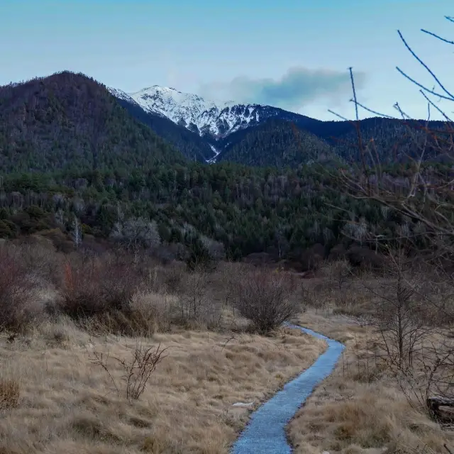 ヒルトン林芝リゾート