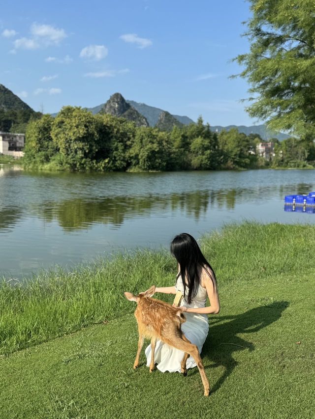 桂林｜四季皆宜嘅山水美學酒店