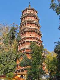 武漢旅遊 | 來寶通禪寺拜拜可以順道吸個貓