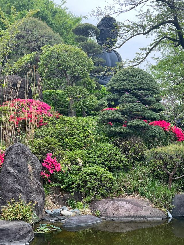 老友日本5日遊 輕鬆暢遊不迷路