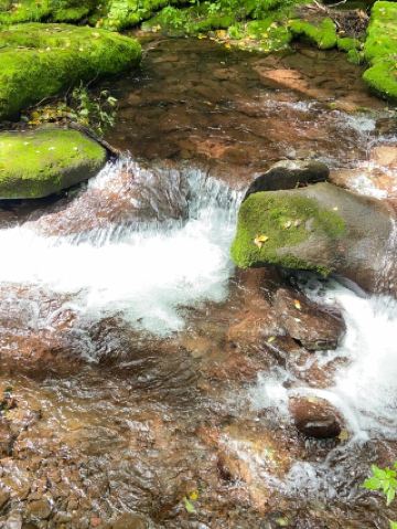 固原2日遊超火玩法大揭秘