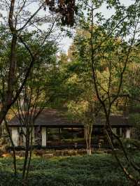 江蘇宜興東方美學酒店，春山在望草木蔓發