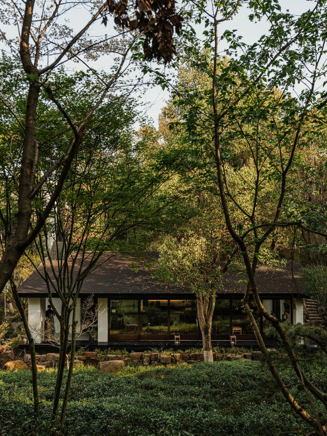 江蘇宜興東方美學酒店，春山在望草木蔓發